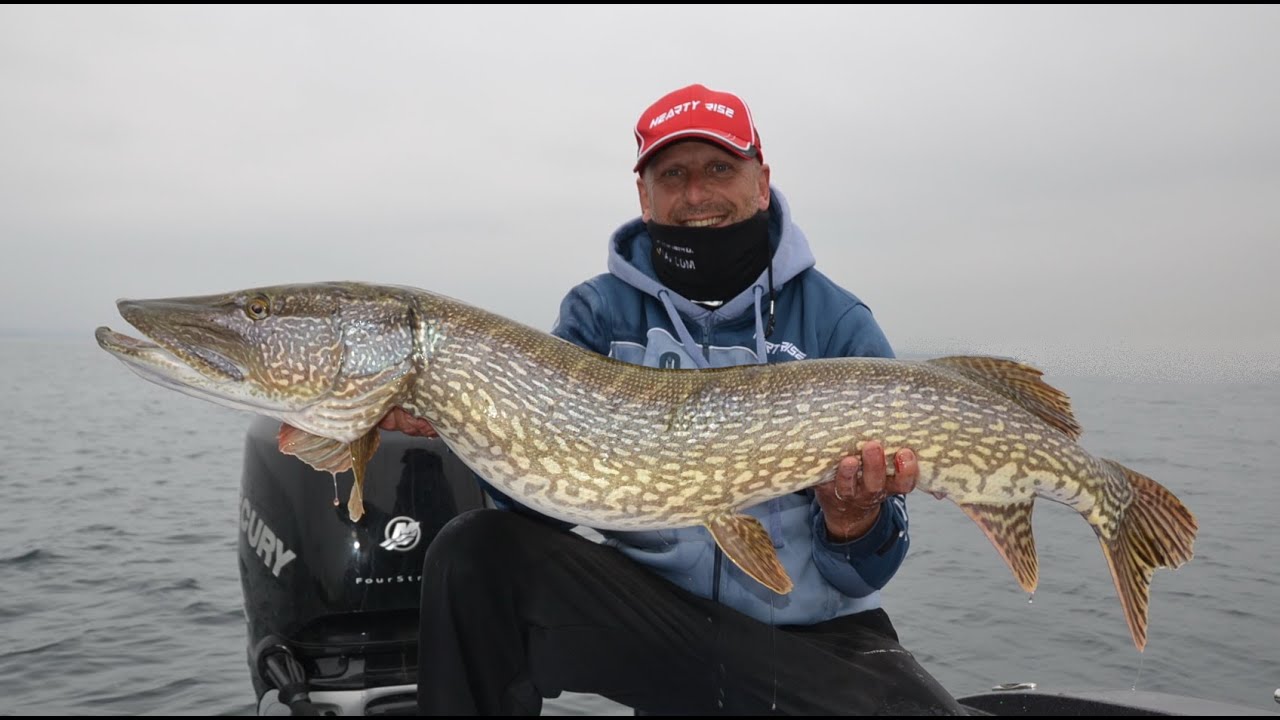 Arnaud Fileppi et les brochets du lac Léman