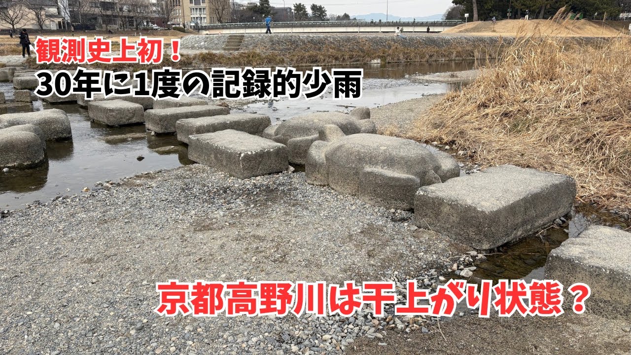 【観測史上初⁉️】京都市1月の降水量が0mm！干上がった高野川を見に行く！