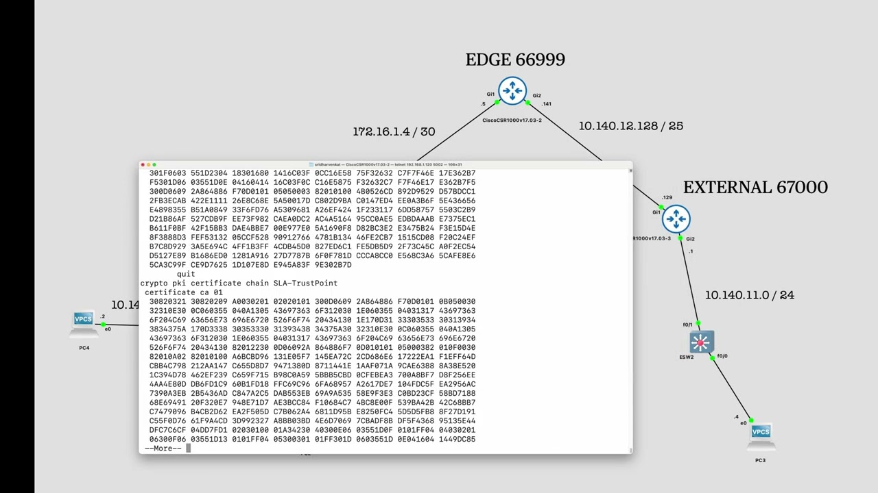 VASI NAT with BGP