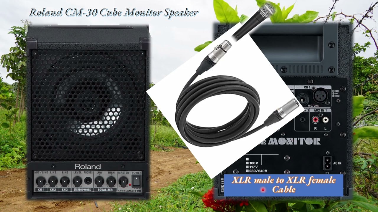 Roland CM 30 Cube Monitor Speaker