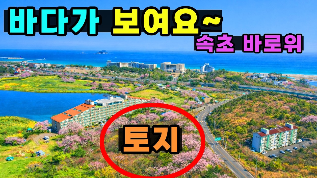 바닷가해변이 600m거리 ~ 속초바로 위에 바다조망토지 ㅣ뒤로는 설악산풍경 기가막힌위치
