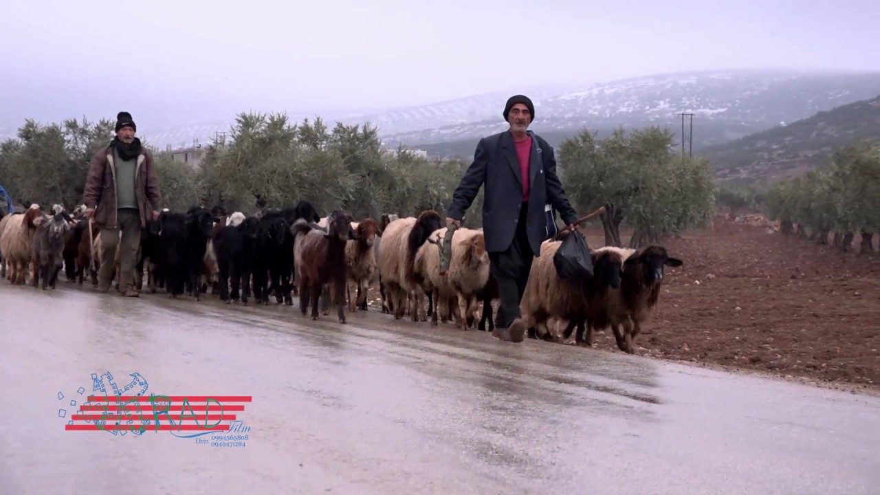 عفرين بطبيعة الثلج (مسعود كراد )