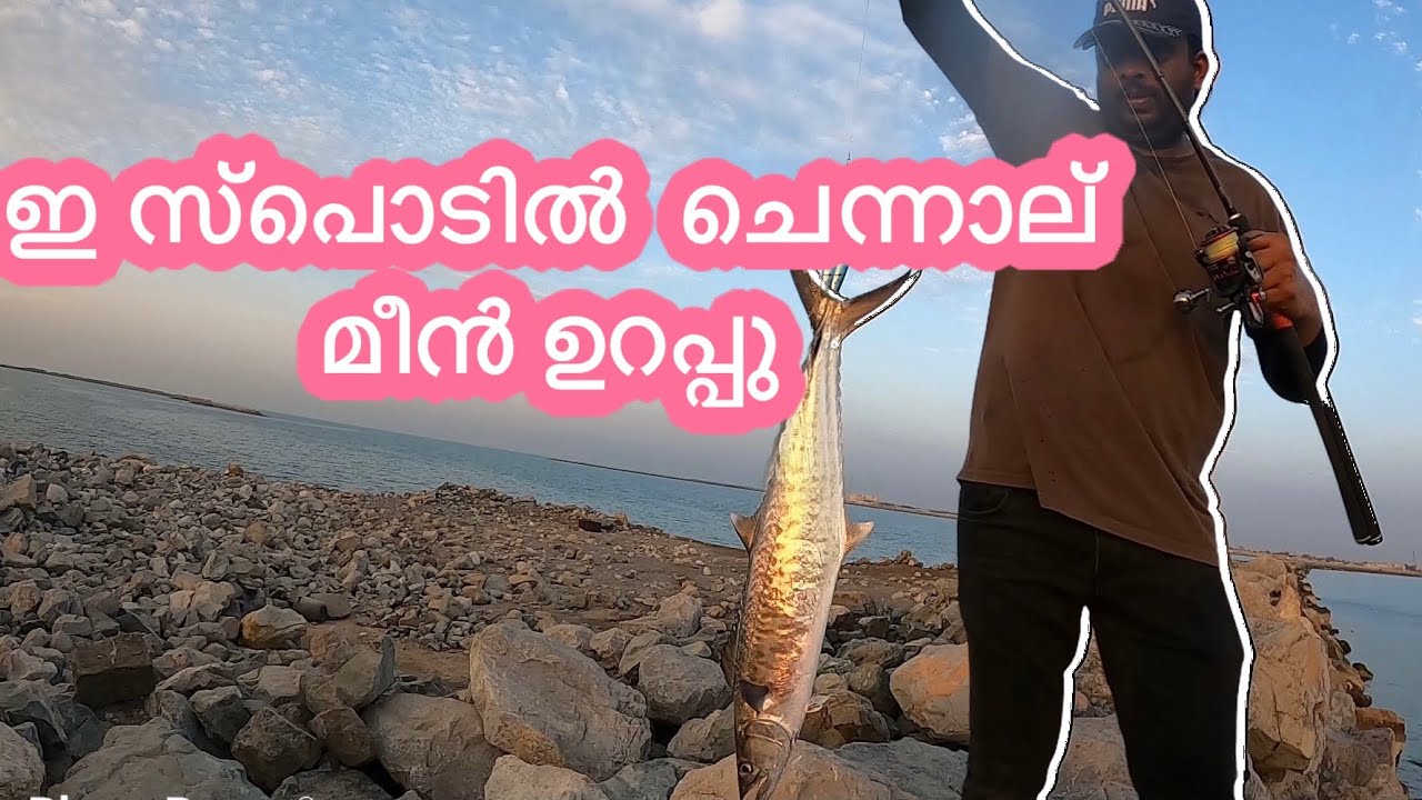 Rak Fishing Trip | Kingfish| Queen fish| Trevally