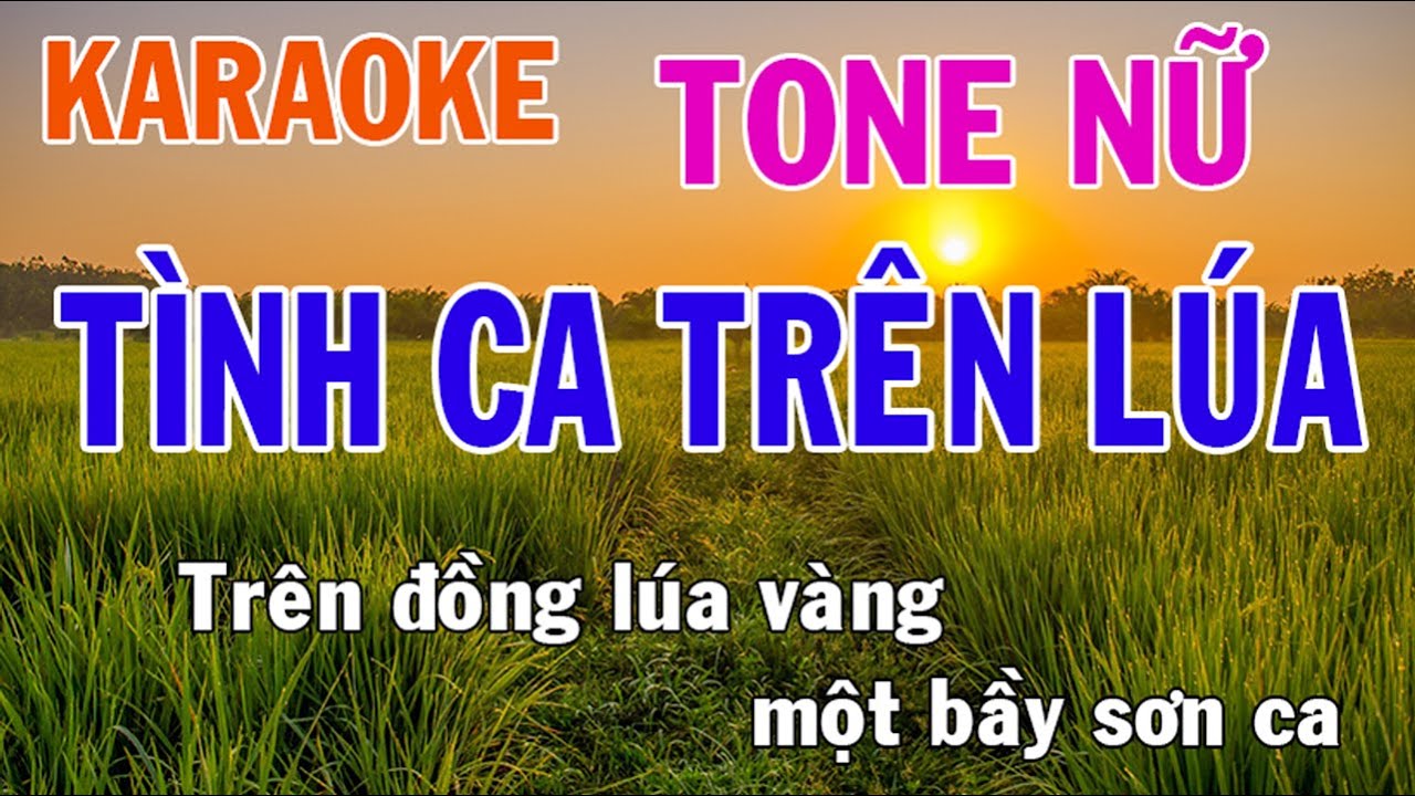 Tình Ca Trên Lúa Karaoke Tone Nữ Nhạc Sống - Phối Mới Dễ Hát - Nhật Nguyễn