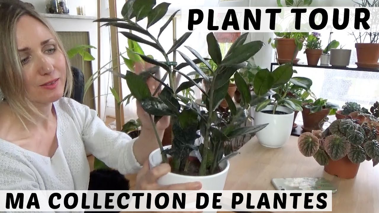 PLANT TOUR #2 | MA COLLECTION DE PLANTES D'INTÉRIEUR : SUITE ET FIN