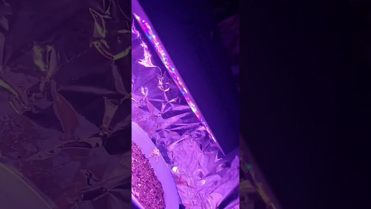 Viparspectra 300 Watt