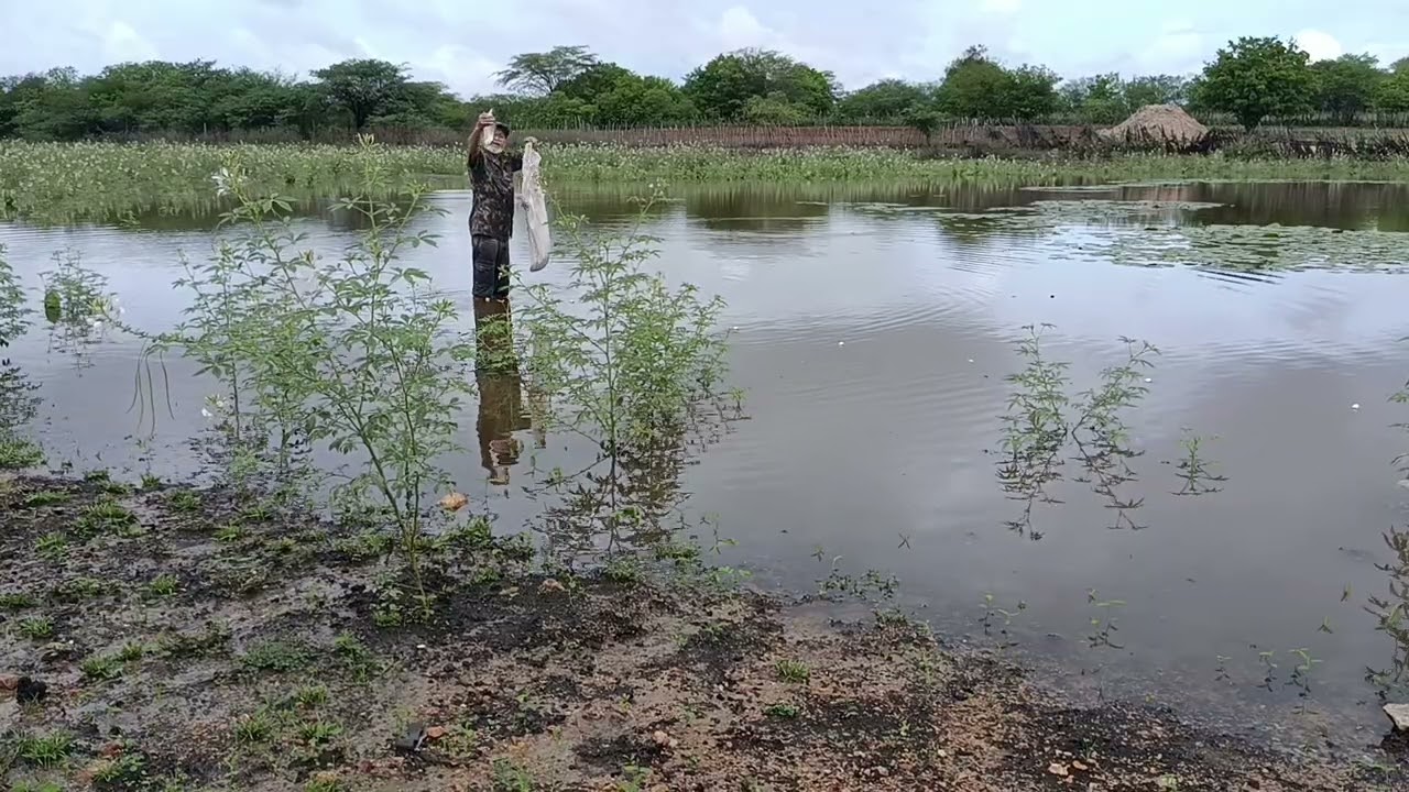 Primeira pescaria  no sítio 