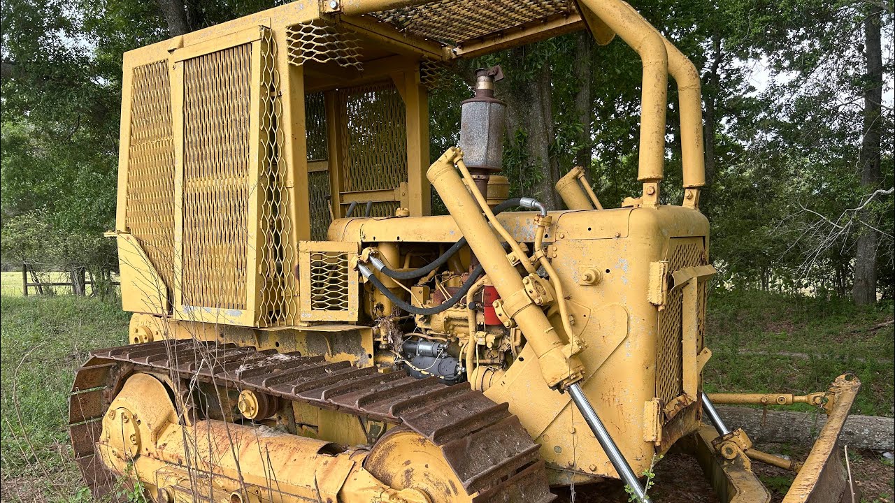 D4D Cat Dozer ПОЛОН ЗМЕЙ и КРЫС!!!