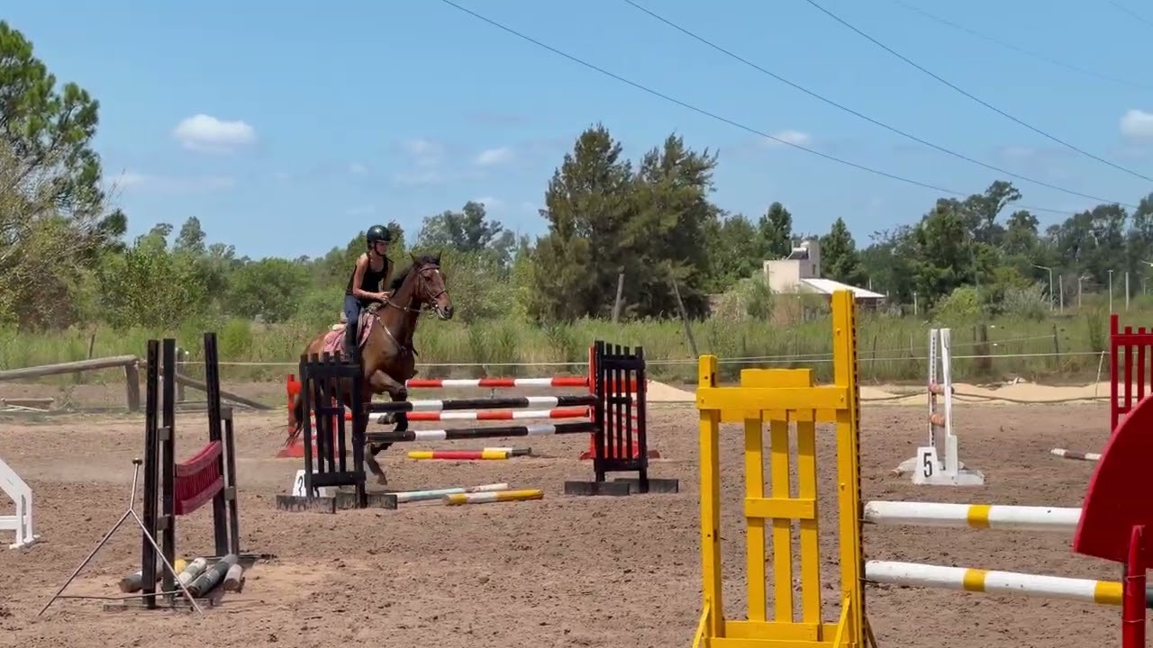 14 de febrero de 2026