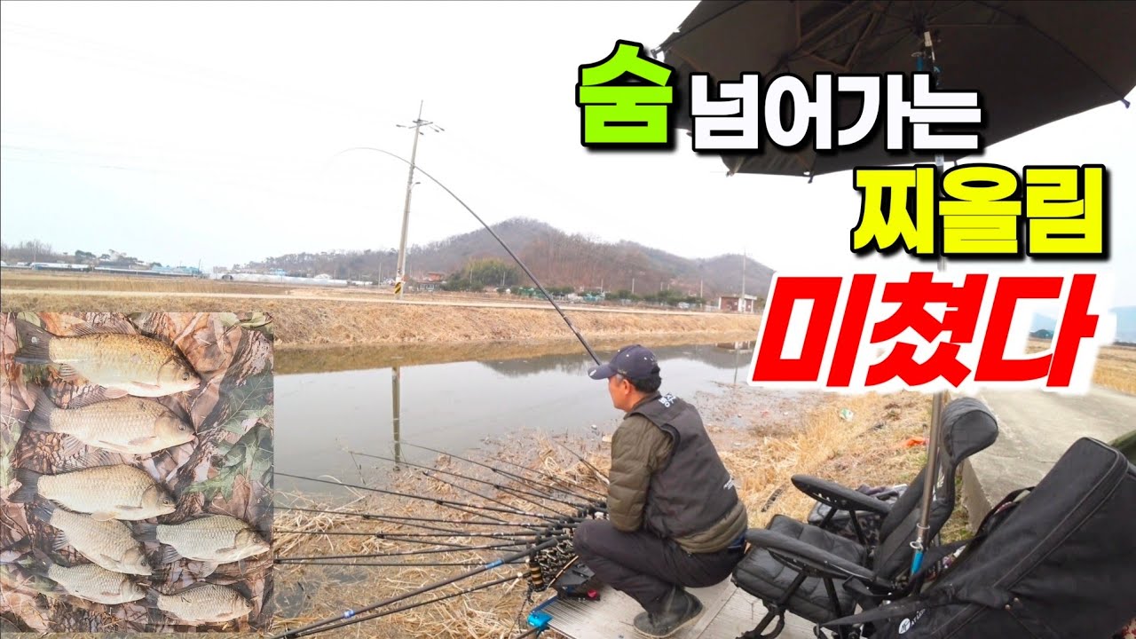 숨 넘어가는 찌올림 미쳤다!! 붕어가 쏟아지네  #붕어낚시 #fishing 