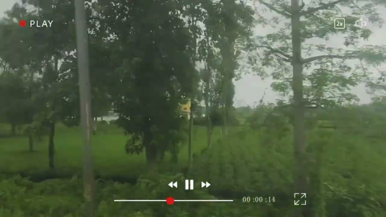 _The Poetry of Motion_ #shortreels #nature #shortvideo #shortsviral #viral #highlights #greenescape