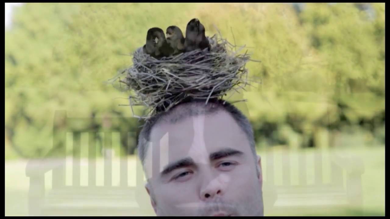 Decadent Vapours Nest Advert