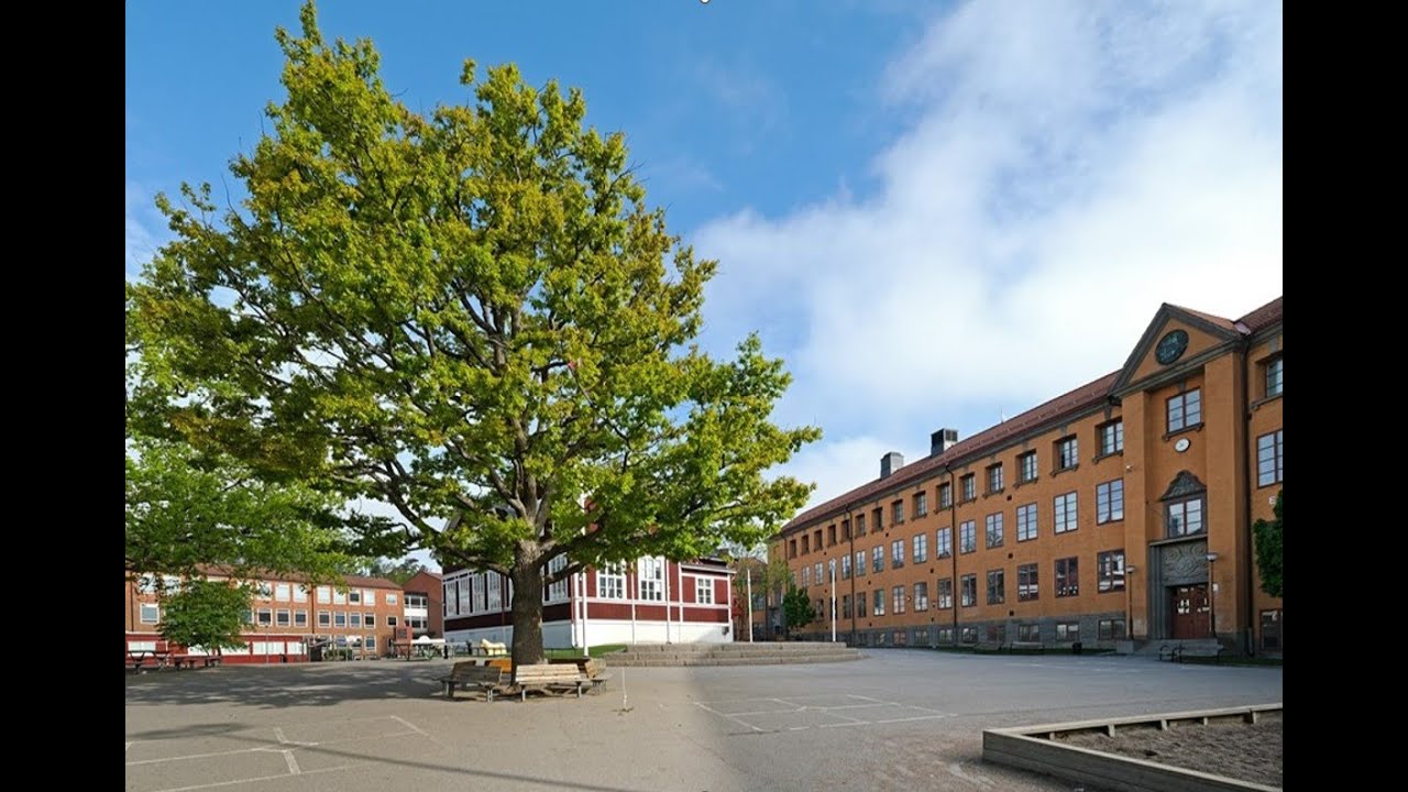 MÄLARHÖJDENS SKOLA KICKOFF HT 2024