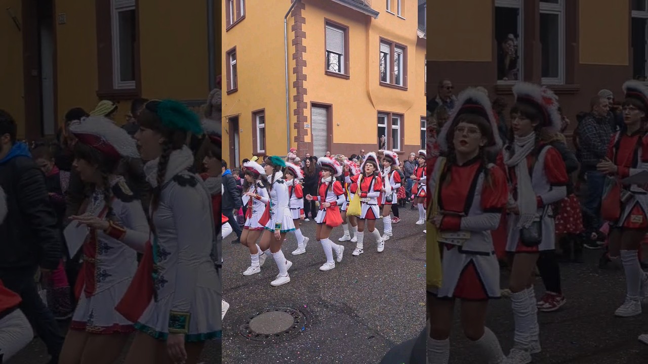 carnival germany 2024 #carnival #fasching Deutschland
