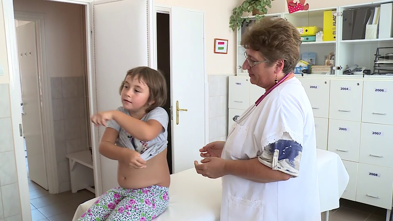 HO TV - Lőrinci Magazin - 2017.08.11