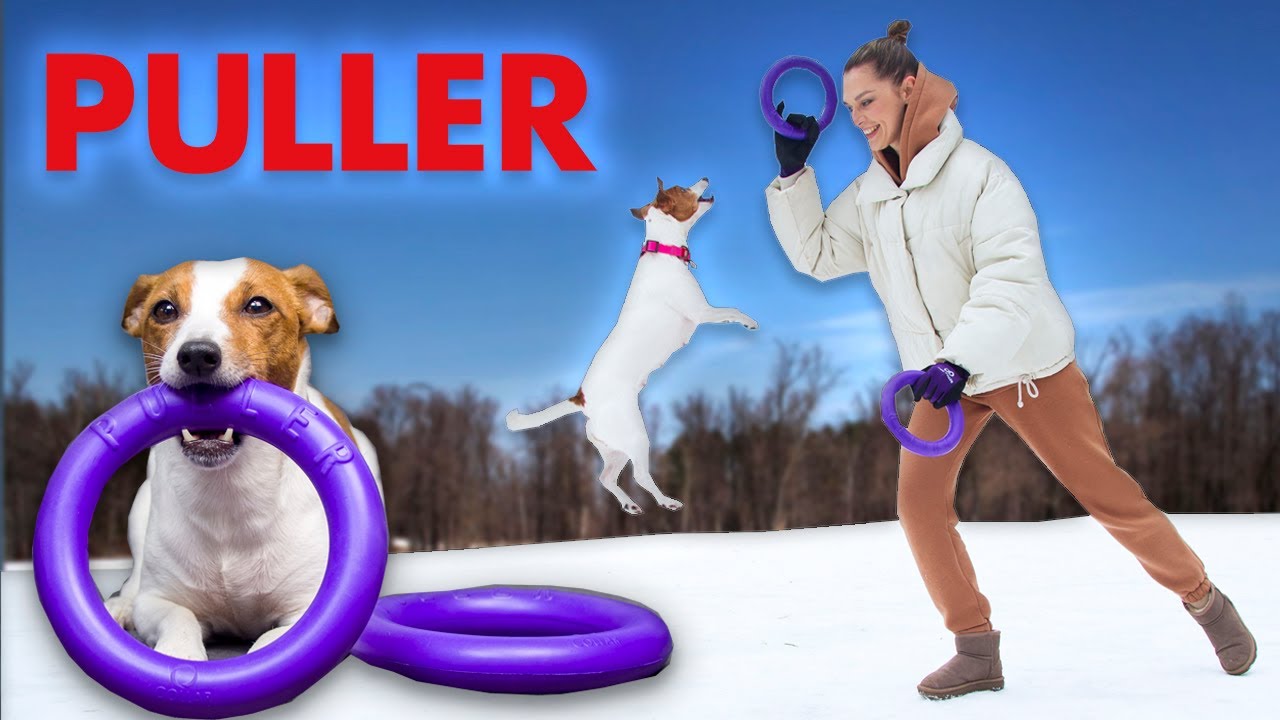 PULLER // Пуллер - популярные кольца для занятий с собакой // Обзор puller // Упражнения с пуллером