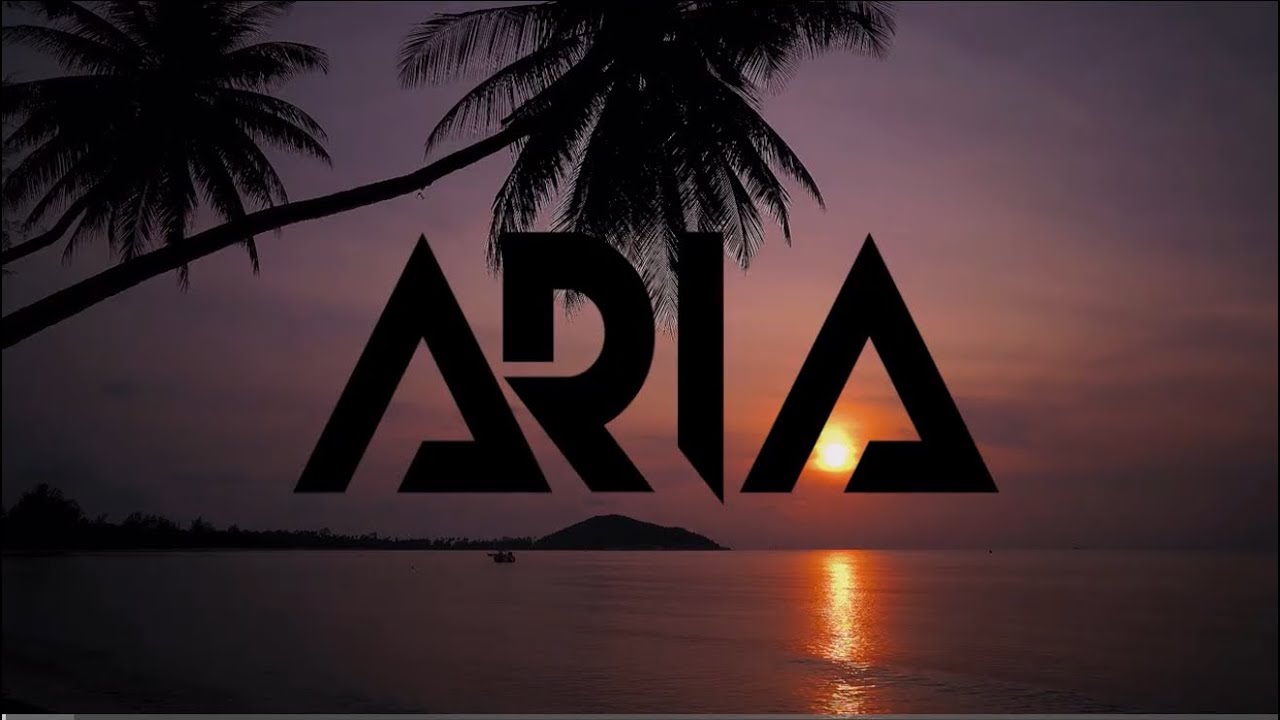 Afro House Mix 2025 Vol.2 Omah Lay, WizTheMC, Kendrick Lamar, Robin Schulz| Sunset Vibes 🎧 | DJ Aria