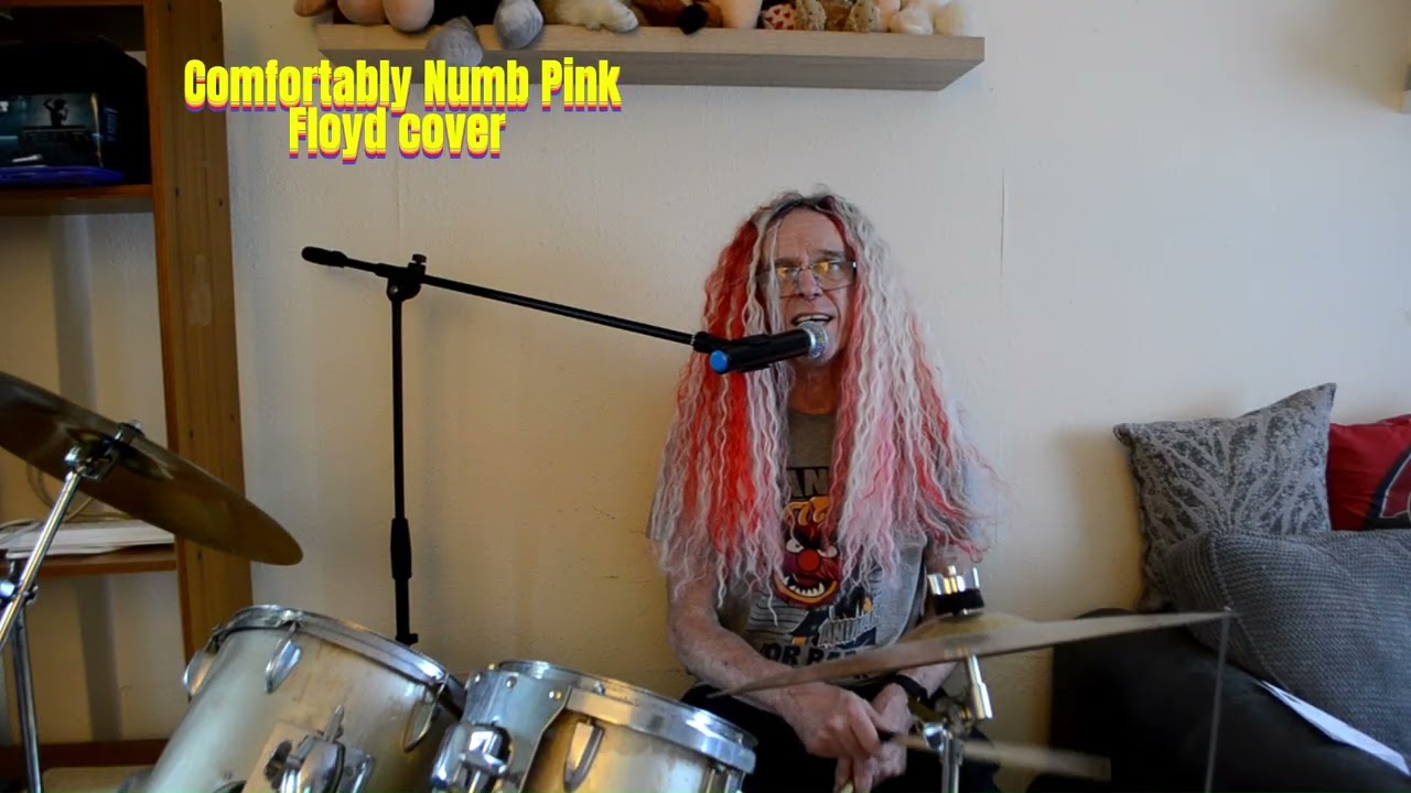 COMFORTABLY NUMB PINK FLOYD COVER