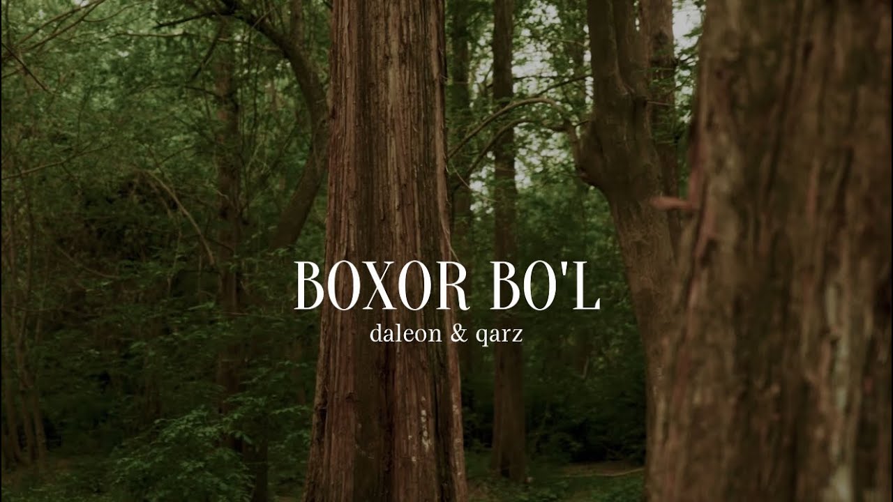 daleon, qarz - Boxor boʻl (Official Music Video)