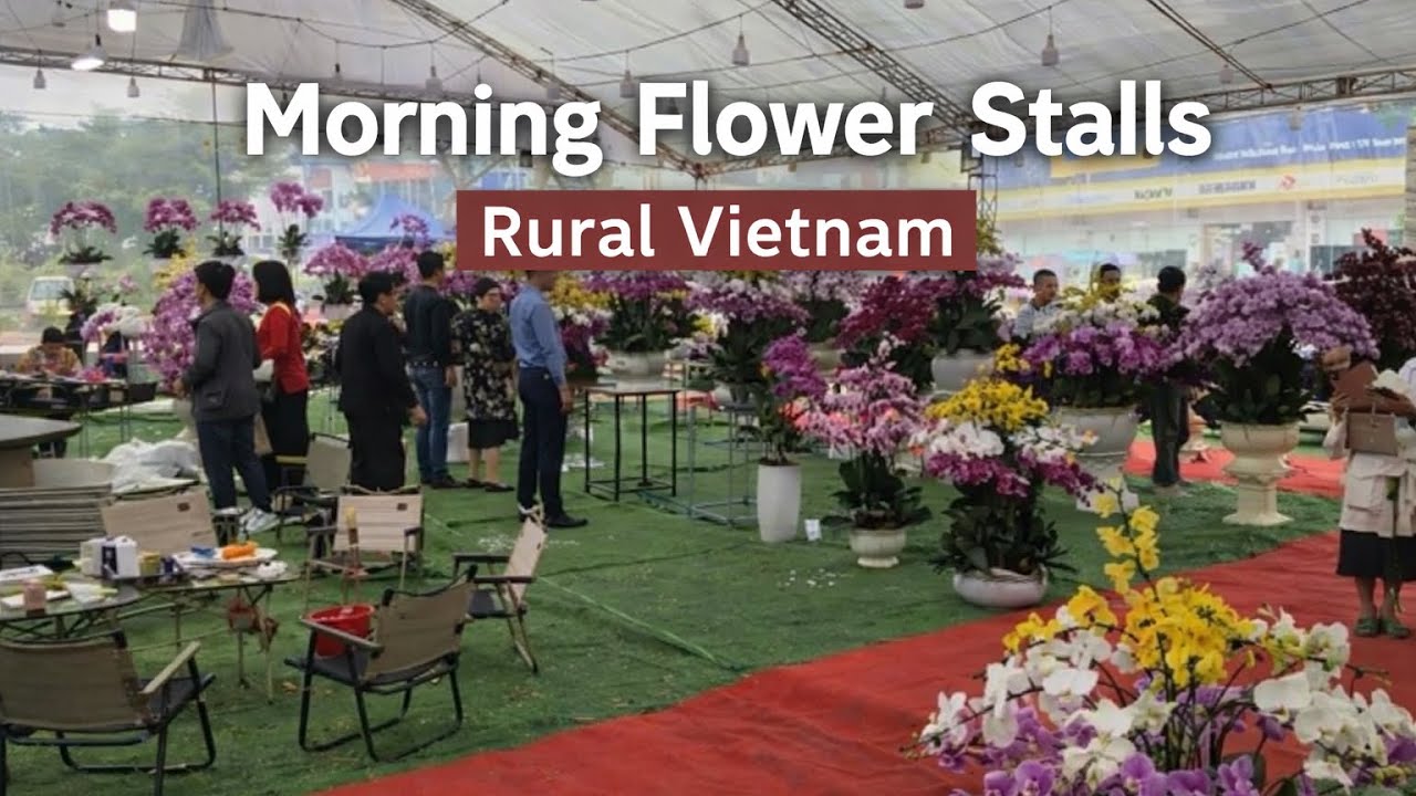 Exploring a Traditional Flower & Bonsai Market | Rural Vietnam
