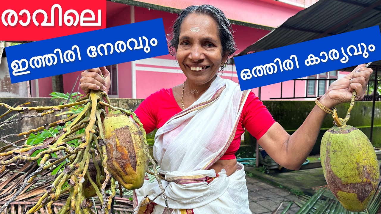 ഇങ്ങനെ ആണെങ്കിൽ പണി എളുപ്പം കഴിയും 😆രാവിലെ ഇത്തിരി നേരവും ഒത്തിരി കാര്യവും