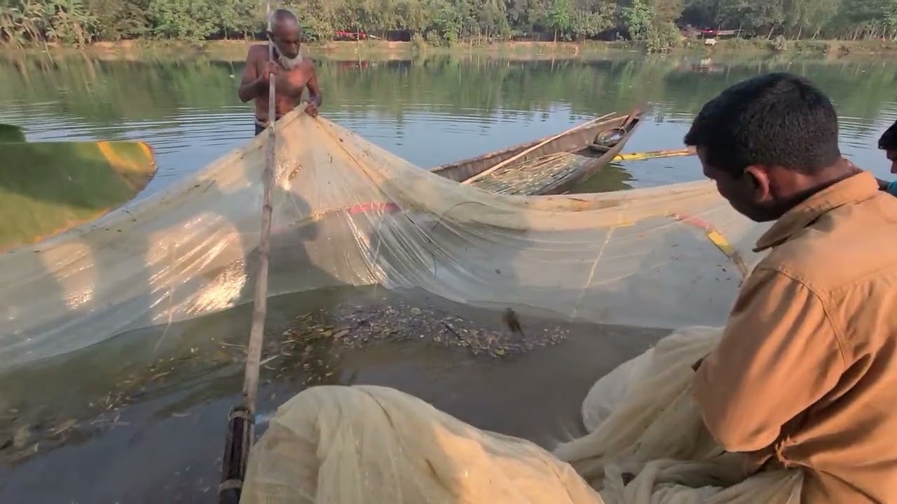 আমাদের ভোগাই নদীতে বড় জাল দিয়ে মাছ ধরা 