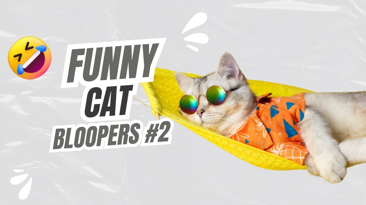 Funny Cat Bloopers 2 #catbloopers