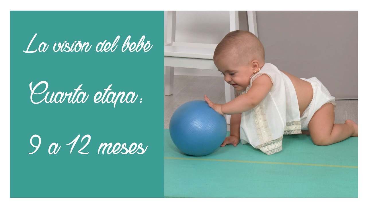 La visión del bebé 👶🏻 Cuarta etapa. Entre 9 y 12 meses.