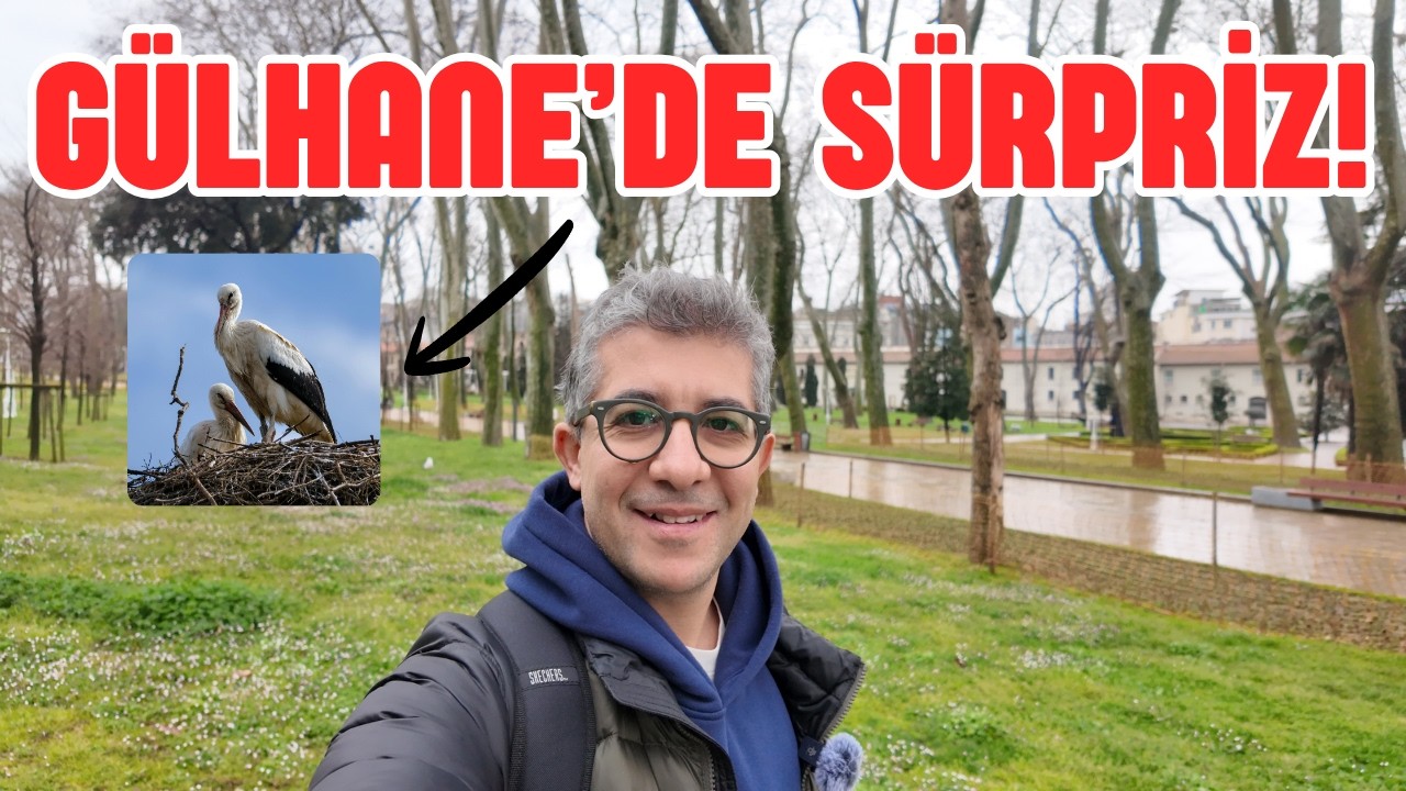 İstanbul G&uuml;lhane Parkı Vlog | Leylekler | G&uuml;lhane Sarnıcı ve Sanat