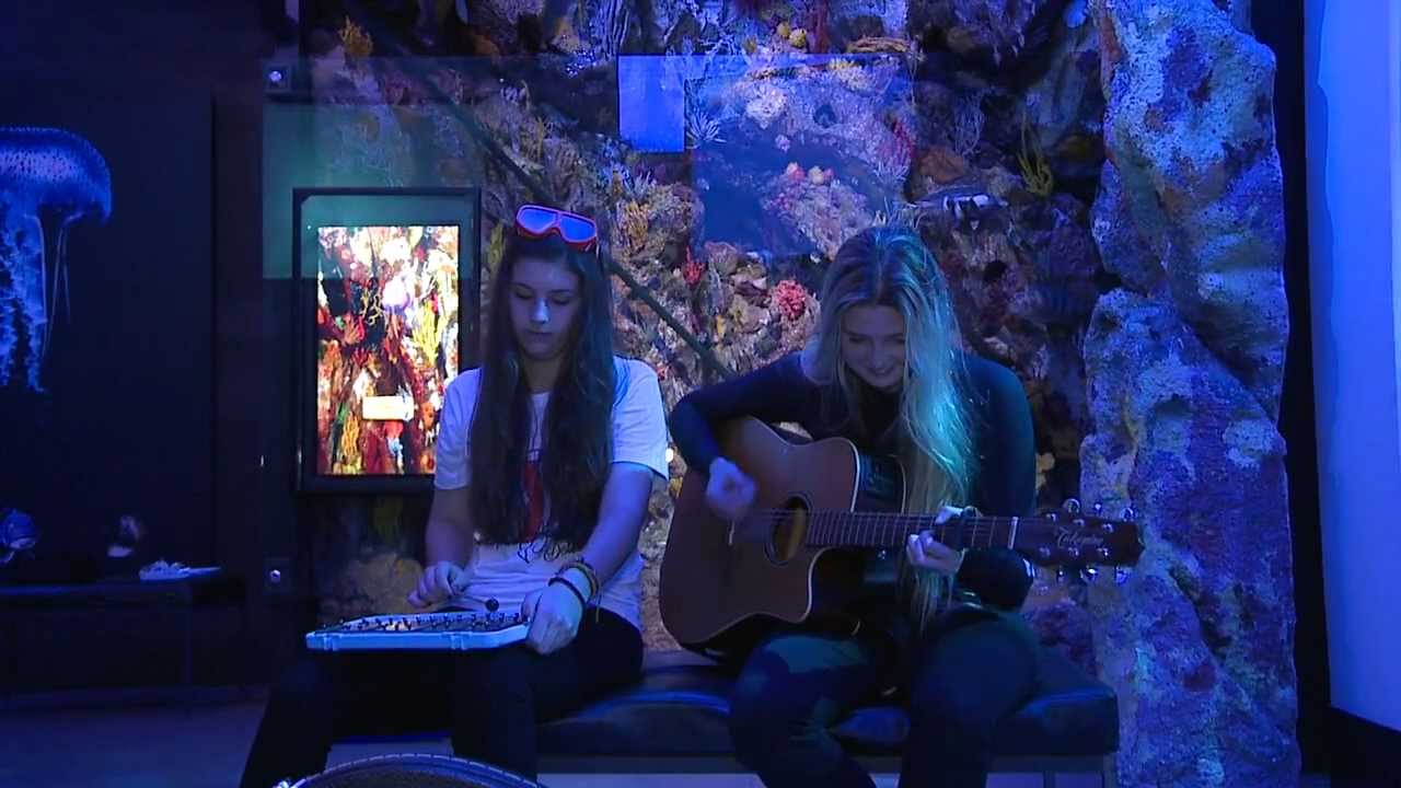 JAMIE MCDELL & JAMIE CURRY - Nemo Song