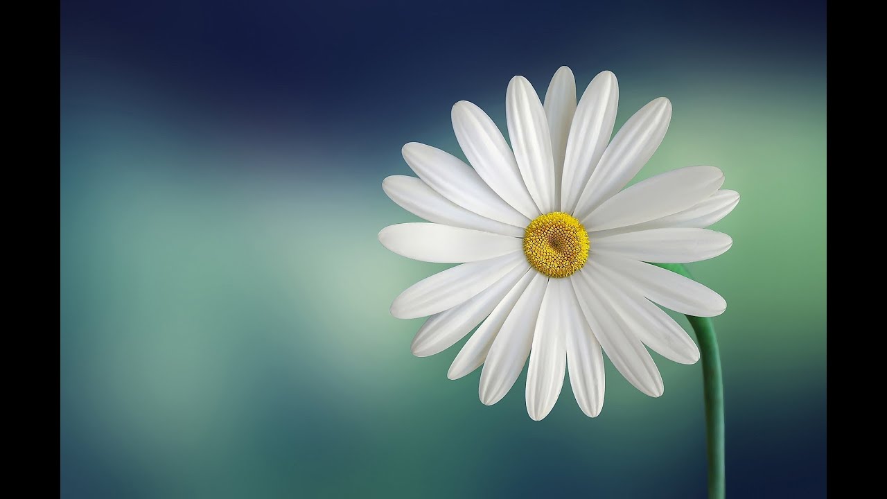 How To Rebalance - Meditation Music - Relaxing - Calming - Sleep Music - Chiswick Park - London