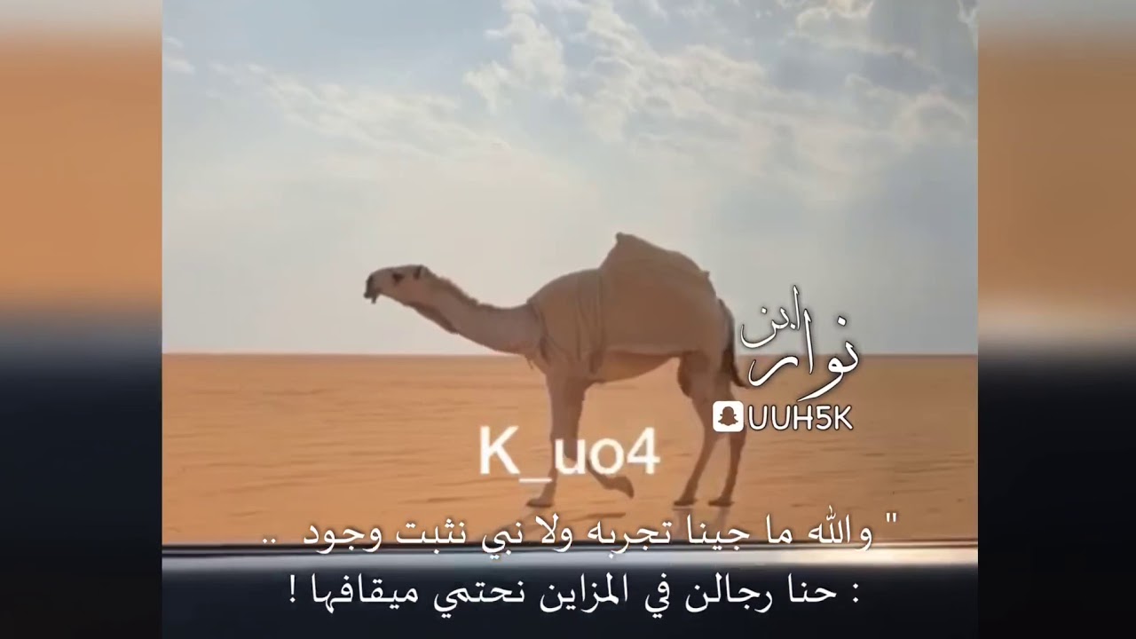 شيلة حراقات الضويلع ي اهل التلاد الله يعين اللي عطا محرافها