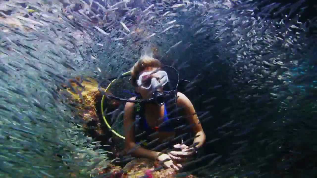 RED EPIC Underwater Stock Footage 4KHD and EPIC 5K