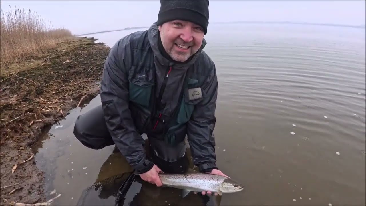 Havørreder og Havblik