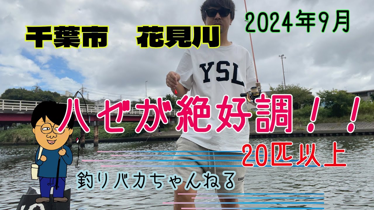 千葉市の河川でハゼが爆釣！　気楽にのんびり楽しめるハゼが絶好調です。