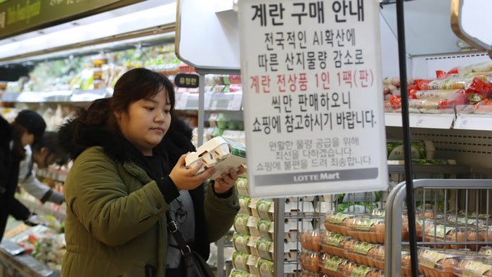 대형마트 계란값 추가 인상&hellip;다음달 설 연휴 '고비'