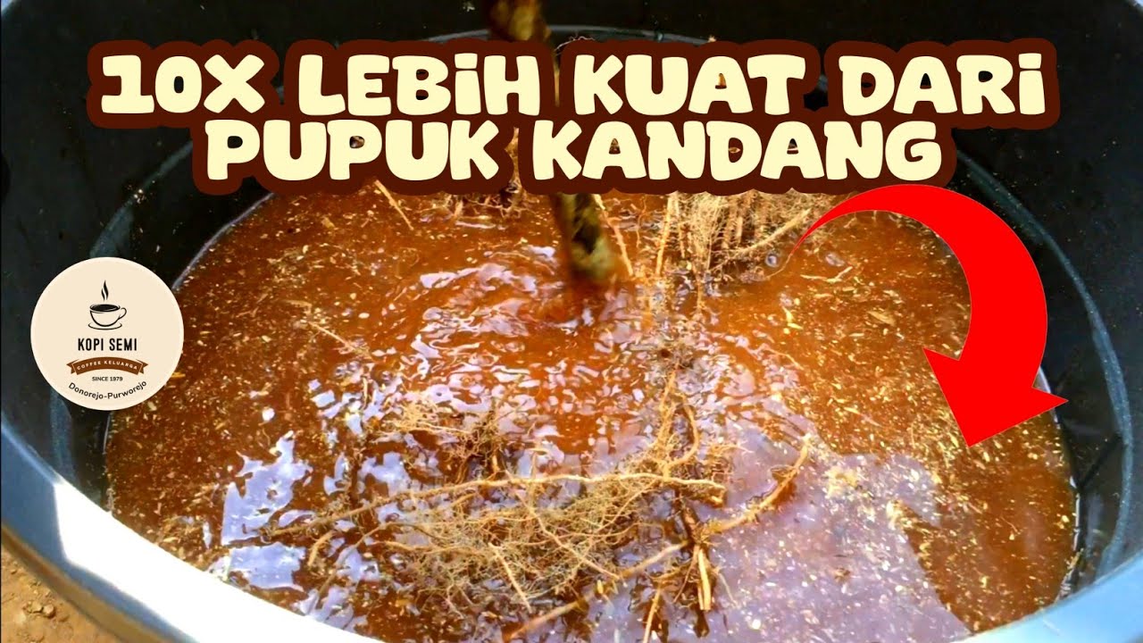 RAHASIA MEMBUAT PUPUK ORGANIK CAIR TERAMPUH !! #kopirobusta #pupuk