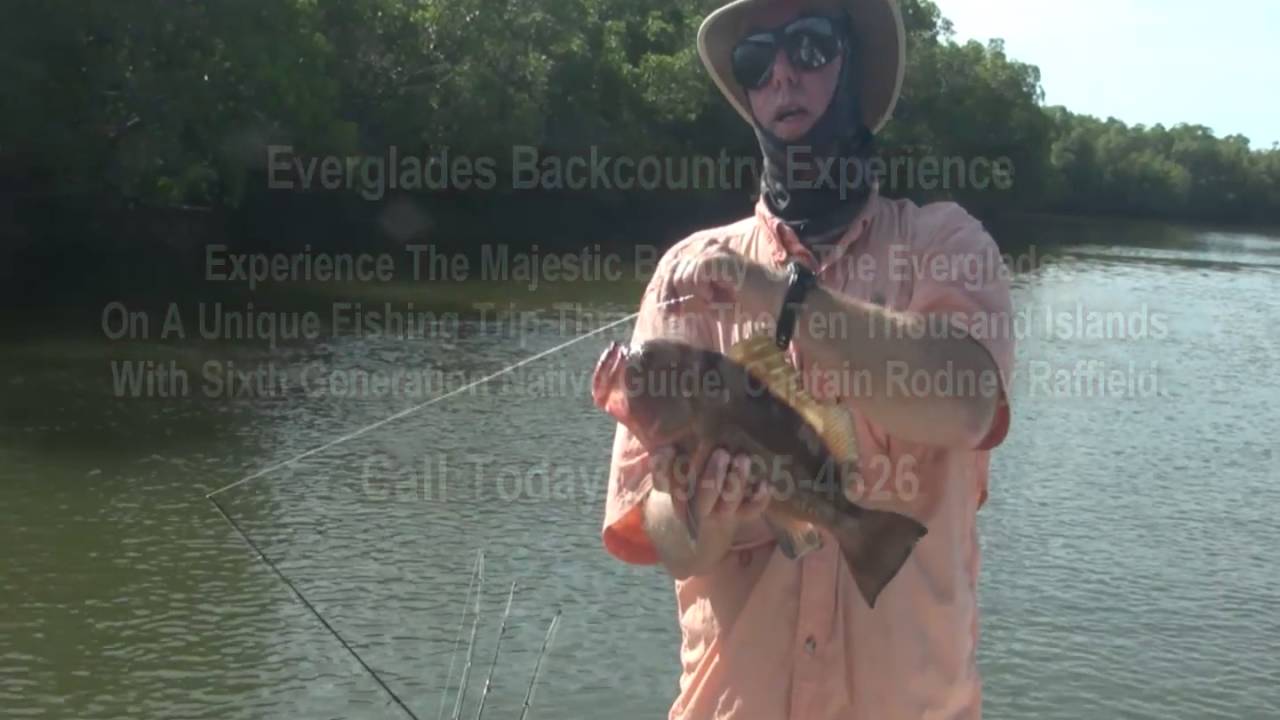 Grouper and Snapper Fishing from Southwest Florida.