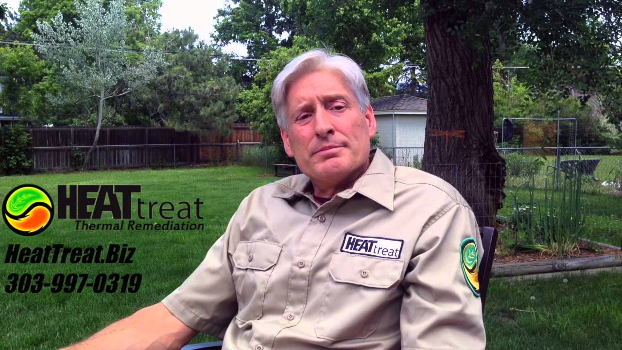 Founding of Heat Treat Bed Bug Extermination in Denver Colorado