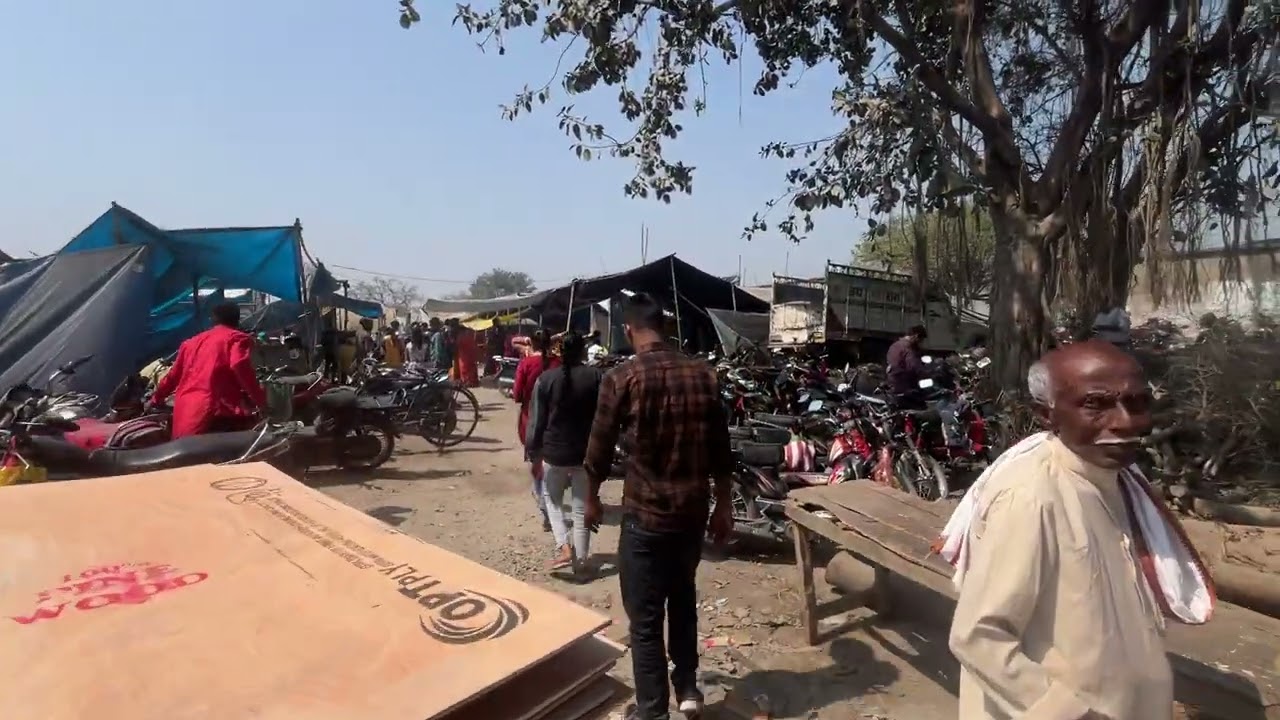 Asia biggest Haldi Mela in Bihar ￼