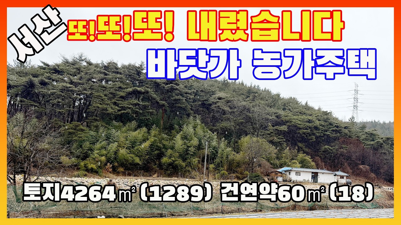 [물건번호3524]충남 서산시 팔봉면  바닷가  마을끝 산아래 위치한