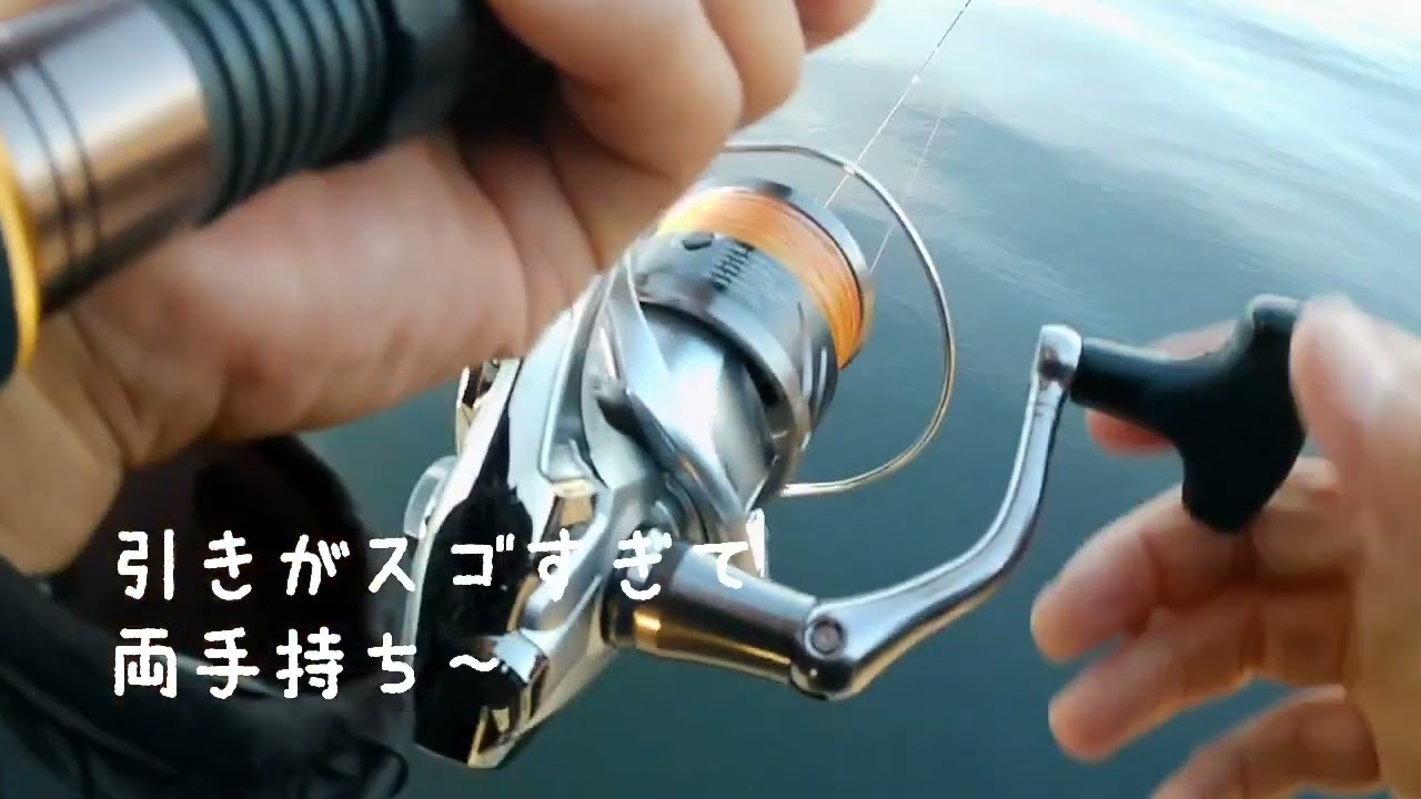 大阪湾沖堤防は青物セール中‼️