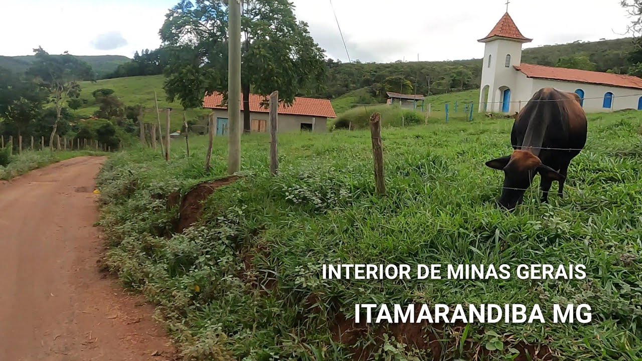 MINAS RURAL | ZONA RURAL DE CACHOEIRA, PASSEIO PELAS ESTRADAS RURAIS DE MINAS,  ITAMARANDIBA MG