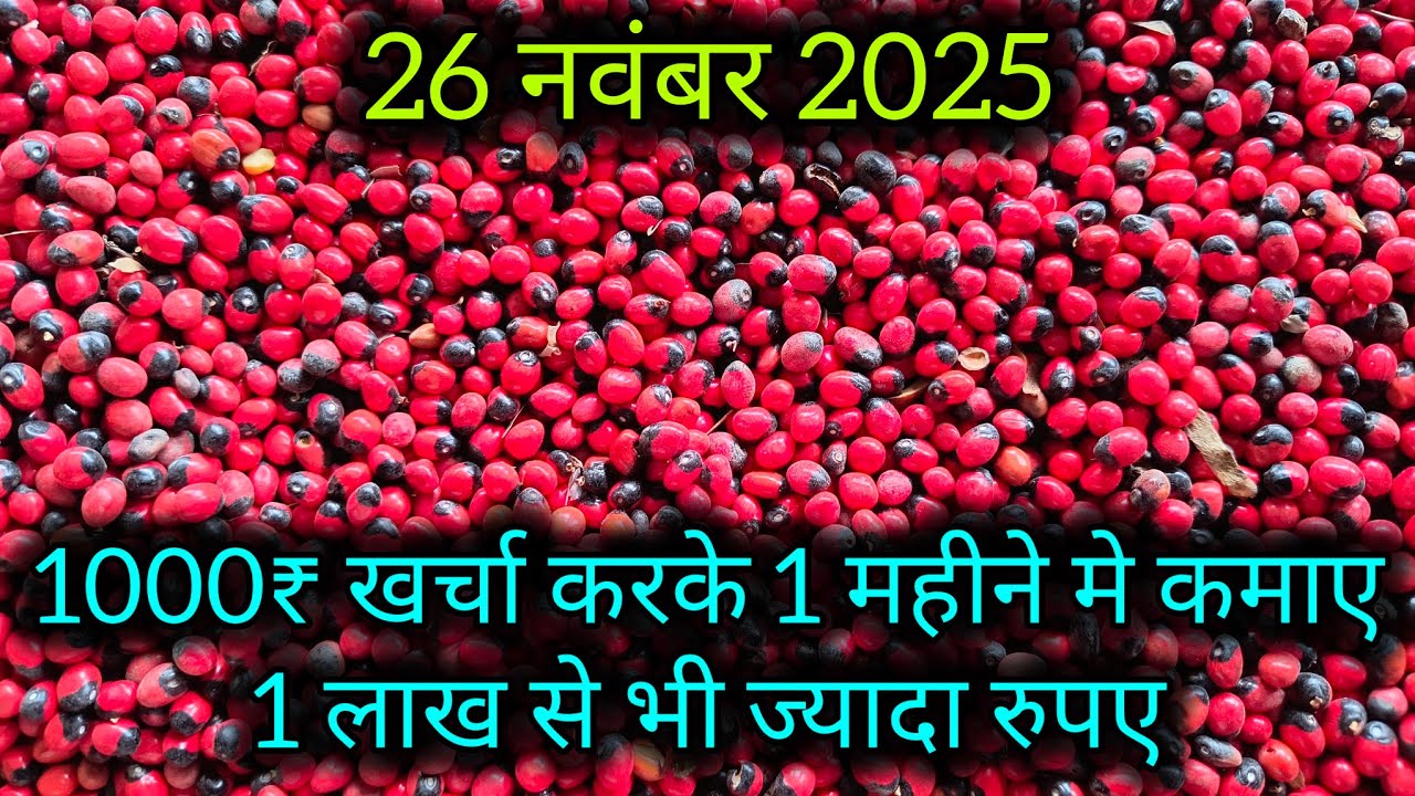 1000₹ खर्चा करके 1 महीने मे कमाए 1 लाख से भी ज्यादा रुपए नीमच औषधि मंडी । Neemuch Mandi bhav