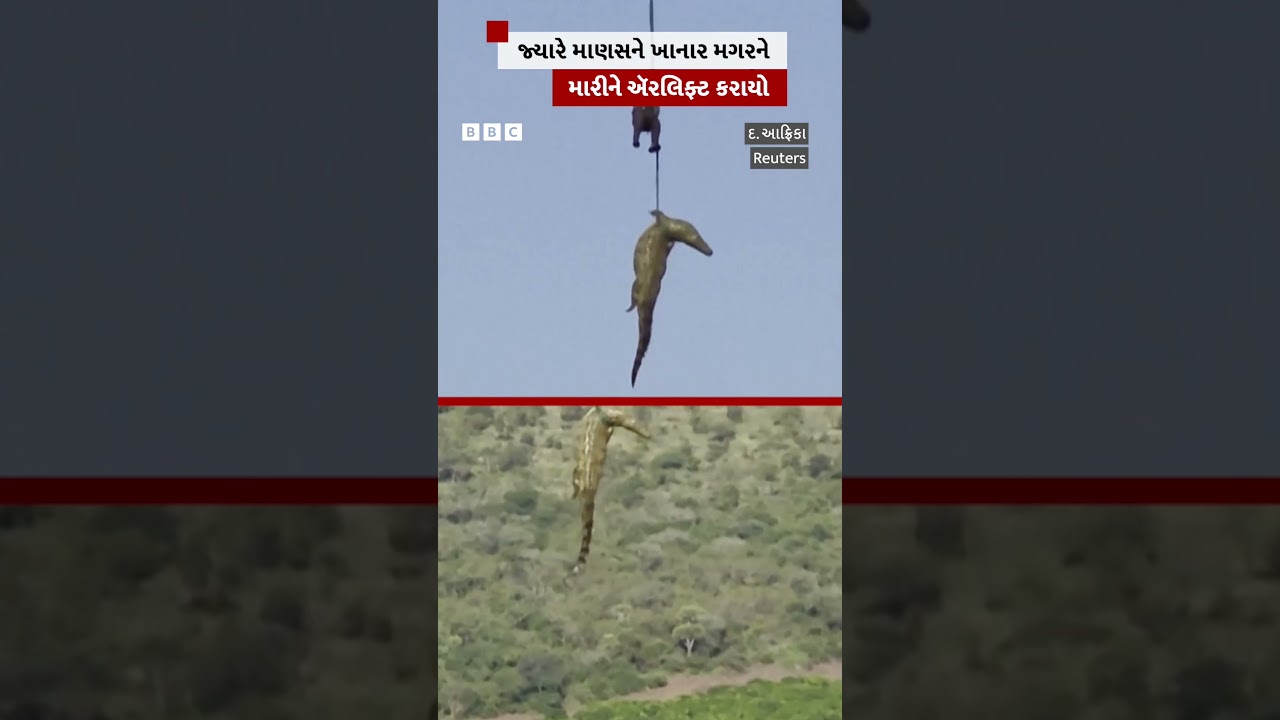 When a man-eating crocodile was killed and airlifted