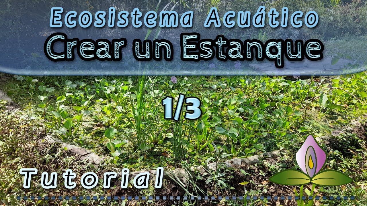 Tutorial para Crear un Estanque y Ecosistema Acuático - 1/3 Pozo y Niveles
