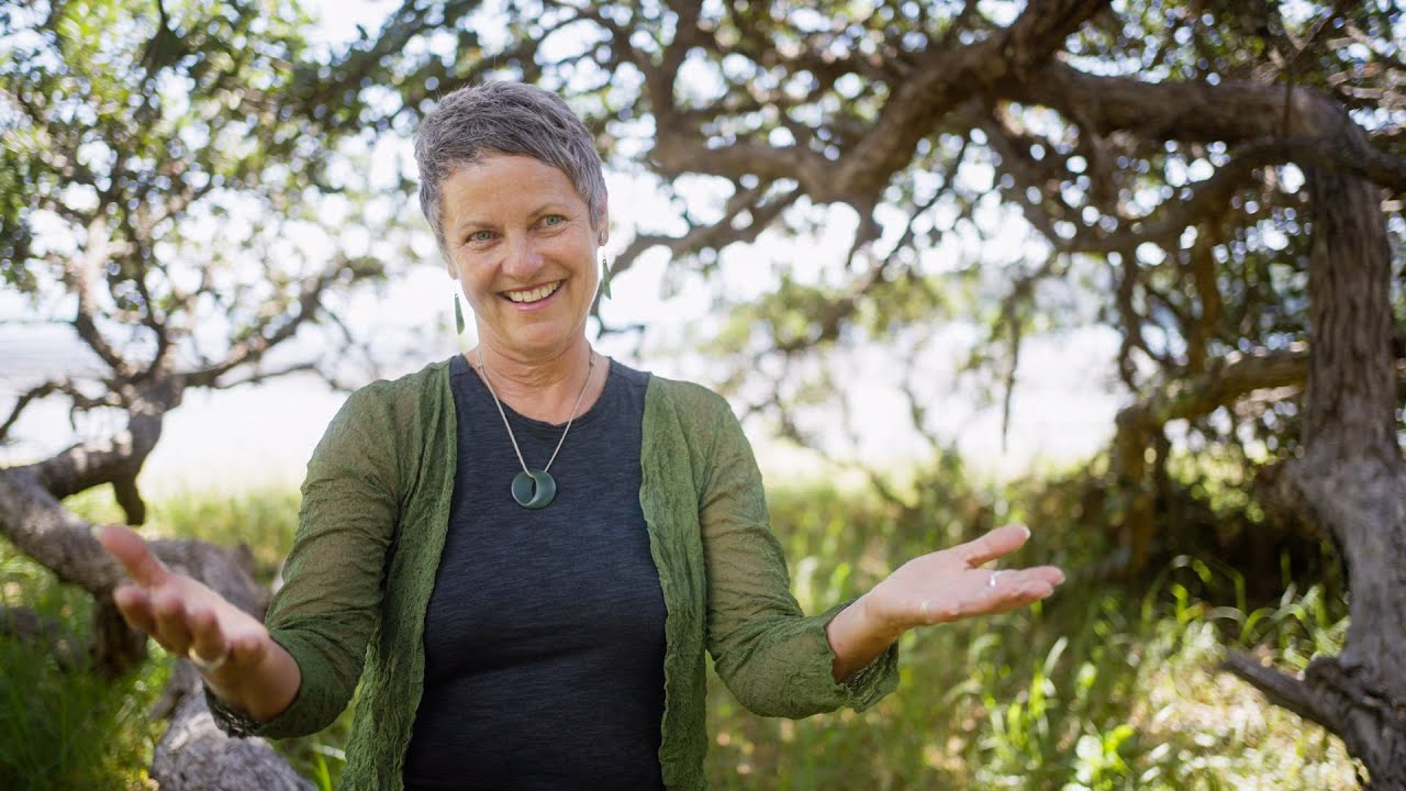 My Human Design Experiment - 4 month Online Course packed with access to YOU!