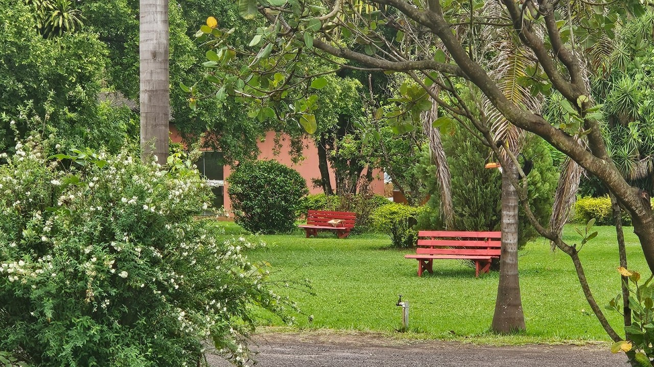 Clube629  - 16/03/2026  Como se livrar dos Temores e das Aflições?