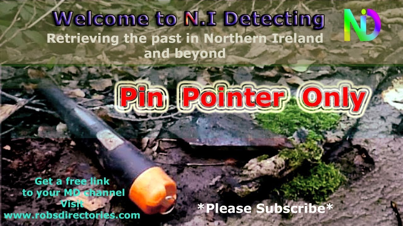 N.I Detecting - Pin Pointer Only