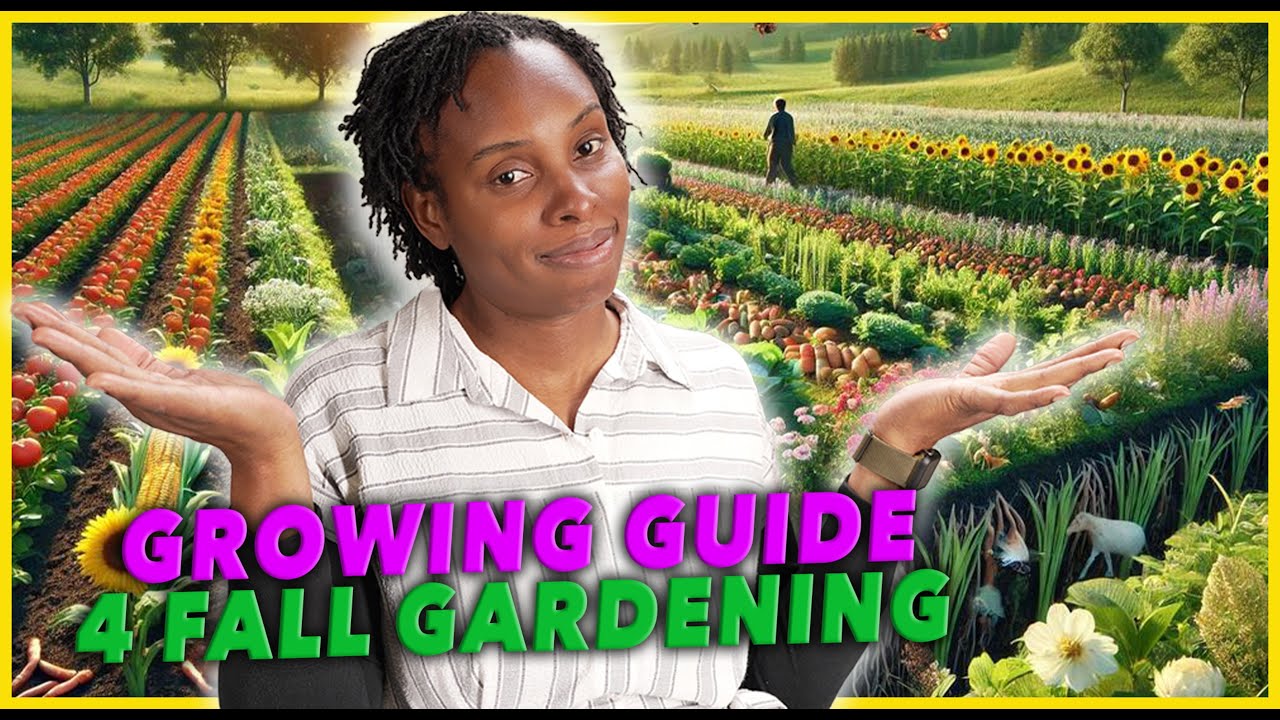 Growing Guide For Fall Gardening | Learn How To Grow Your Own Cabbage